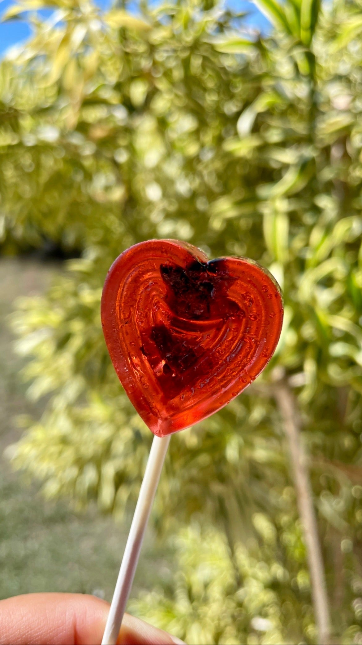 red Li hing mui lolipop with seed