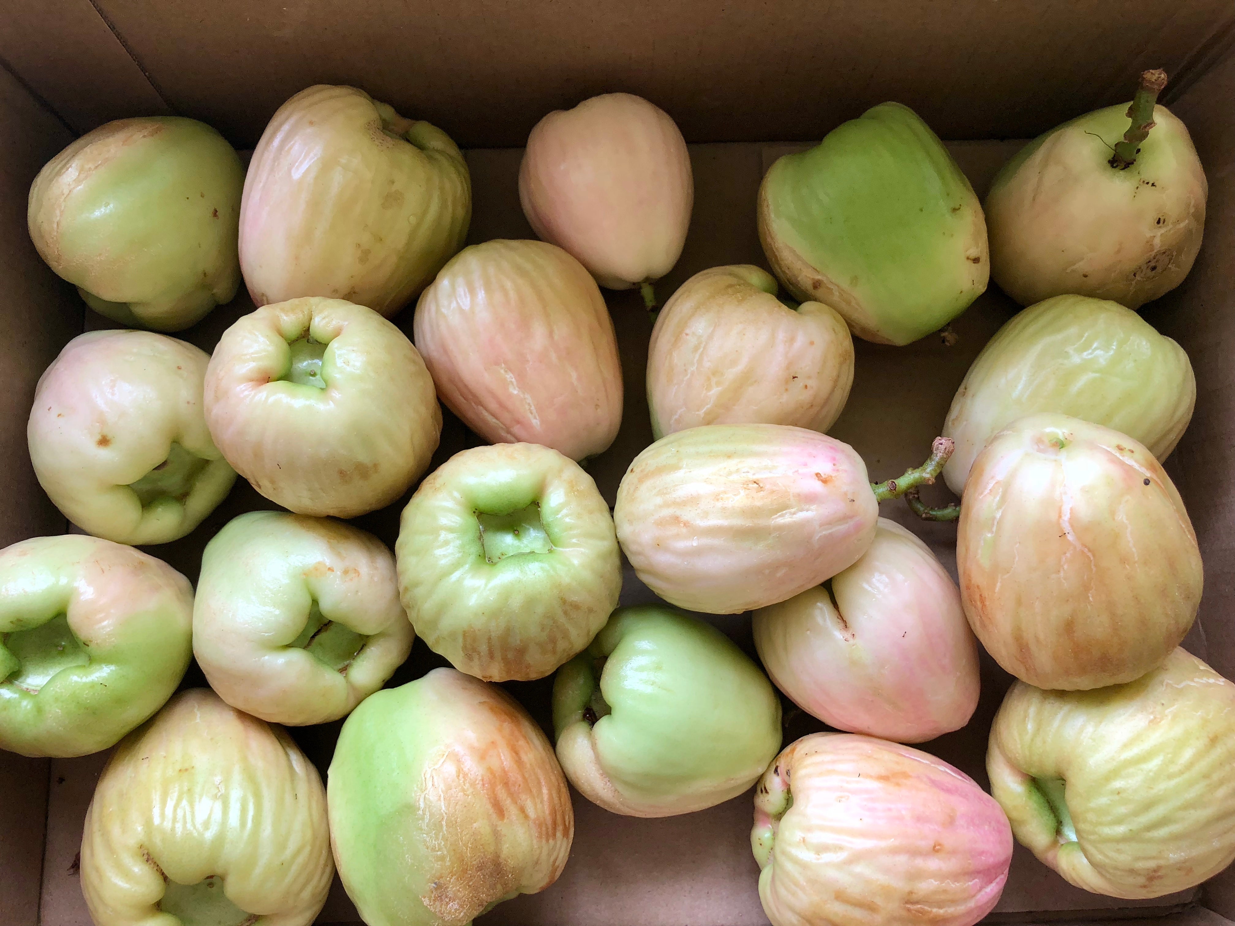 Hawaiian Mountain Apple Pie Recipe You’ll Love Baking