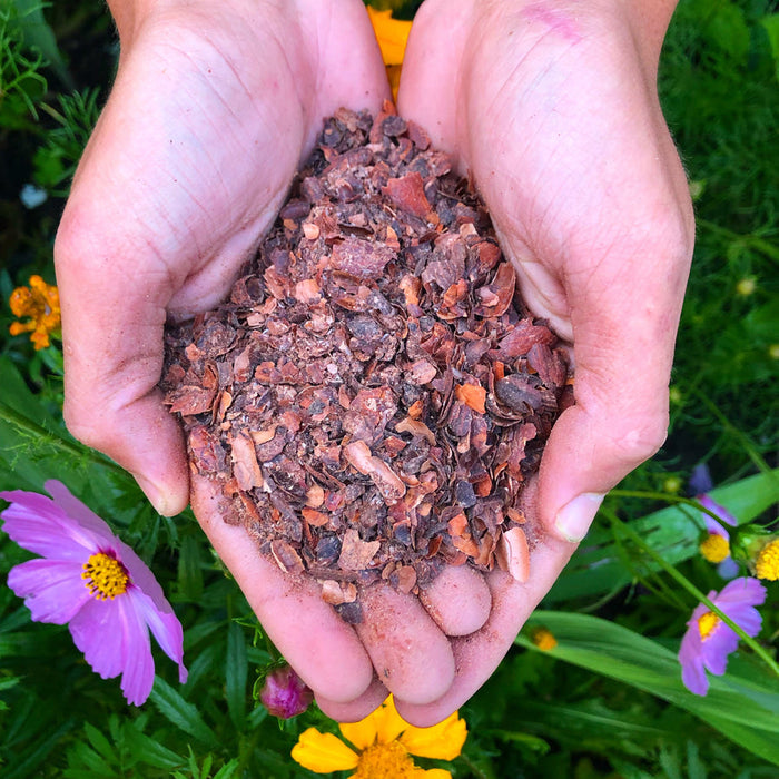 Waimea Herb Company Mamaki Cacao Peppermint Tea