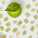 A green apple surrounded by small pieces of green mochi candy on a white background. 
