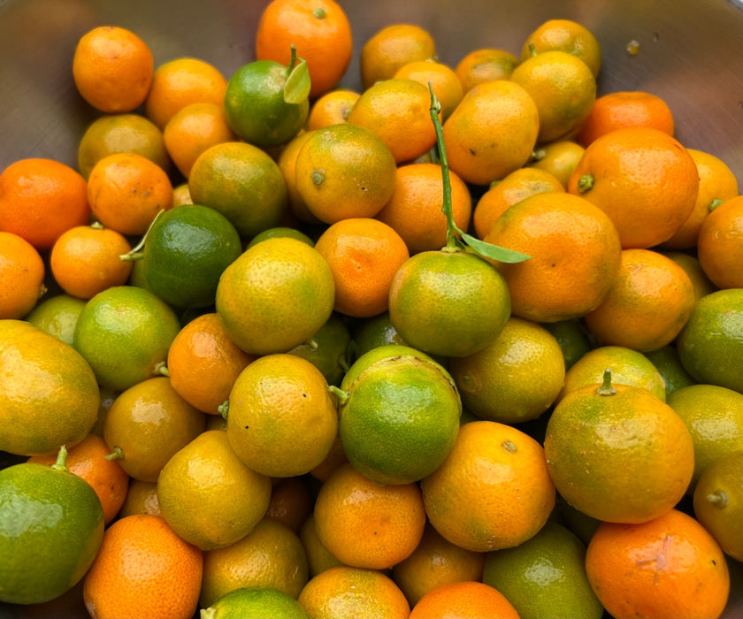 Aloha Bites Award Winning Tutu's Calamansi Marmalade