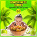 Li Hing Mui Sour Apple Candy