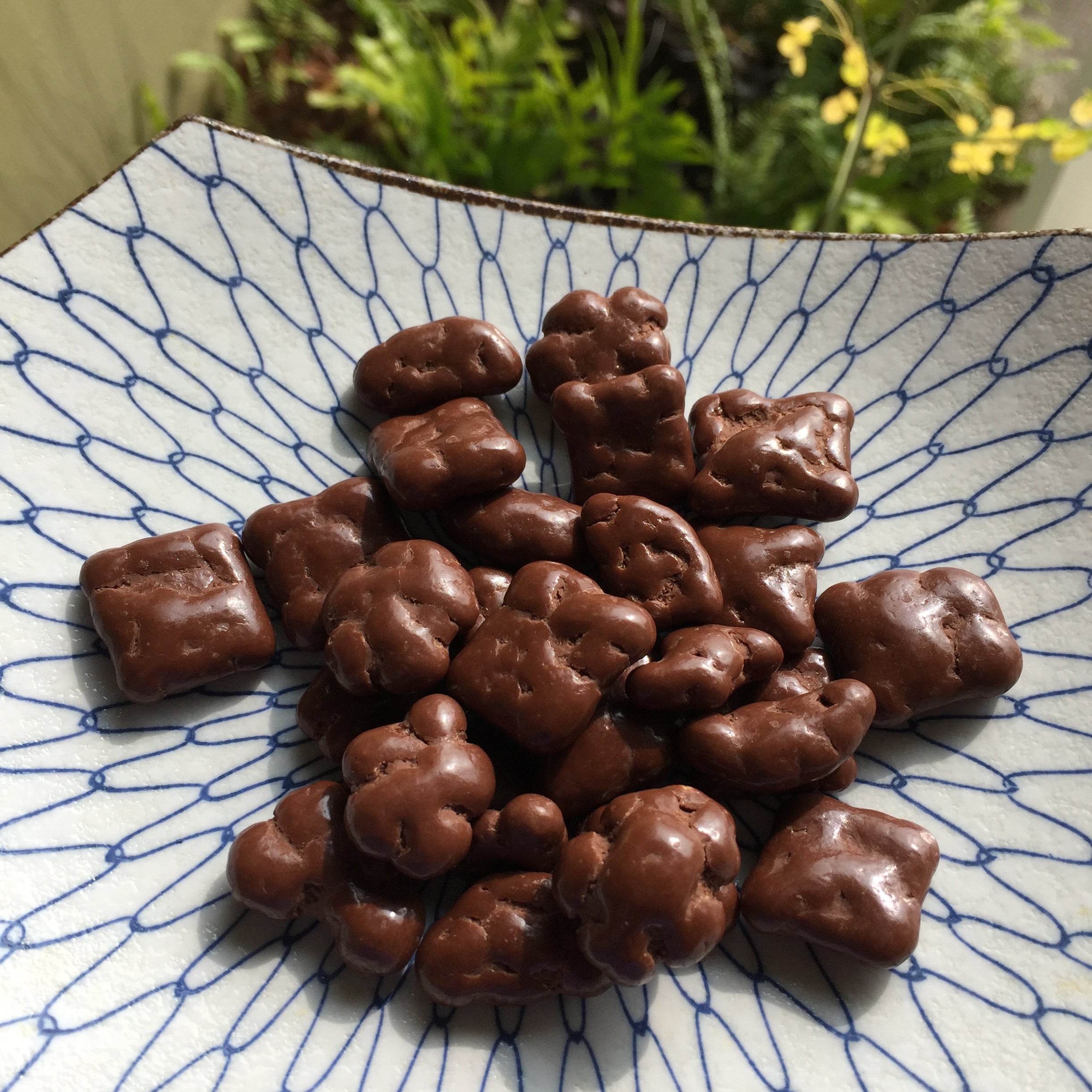 Island Princess Choco Mochi — Snack Hawaii