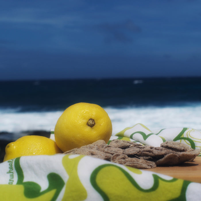 Dried Lemon and fresh lemon ocean background 