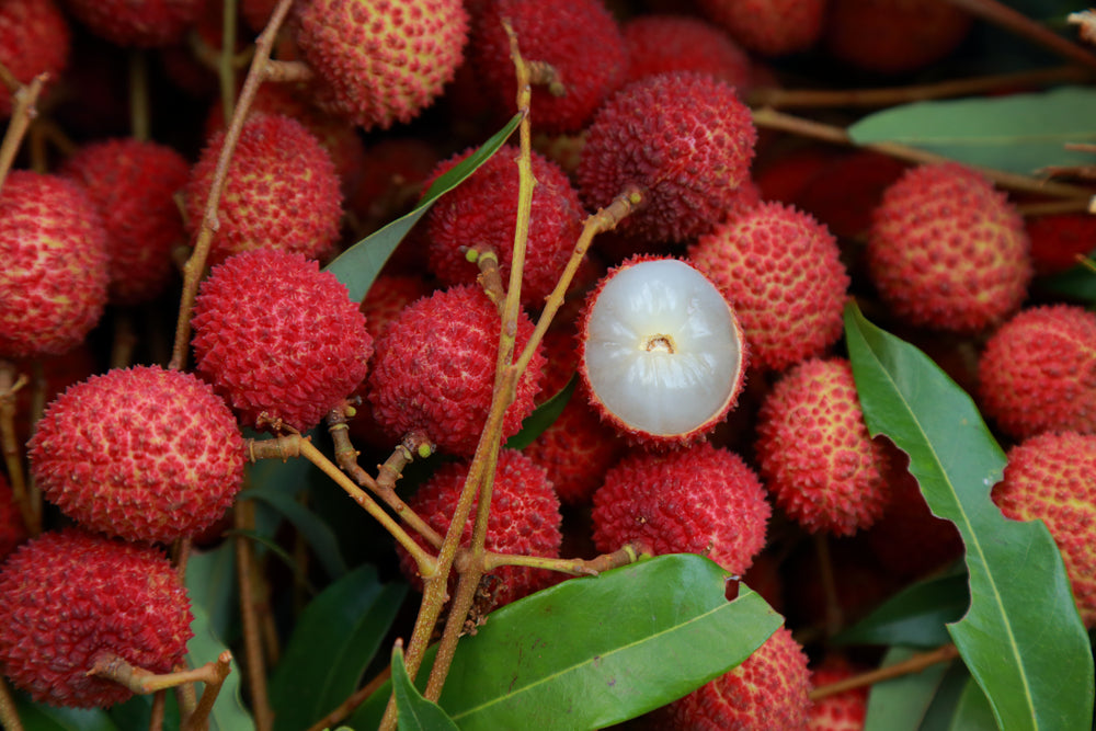 Japanese Lychee Candy - 3 pack