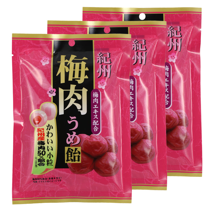 Kishu Bainiku Ume Hard Candy - 3 pack