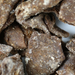 Rock Salt Lemon: Best Hawaiian Snack