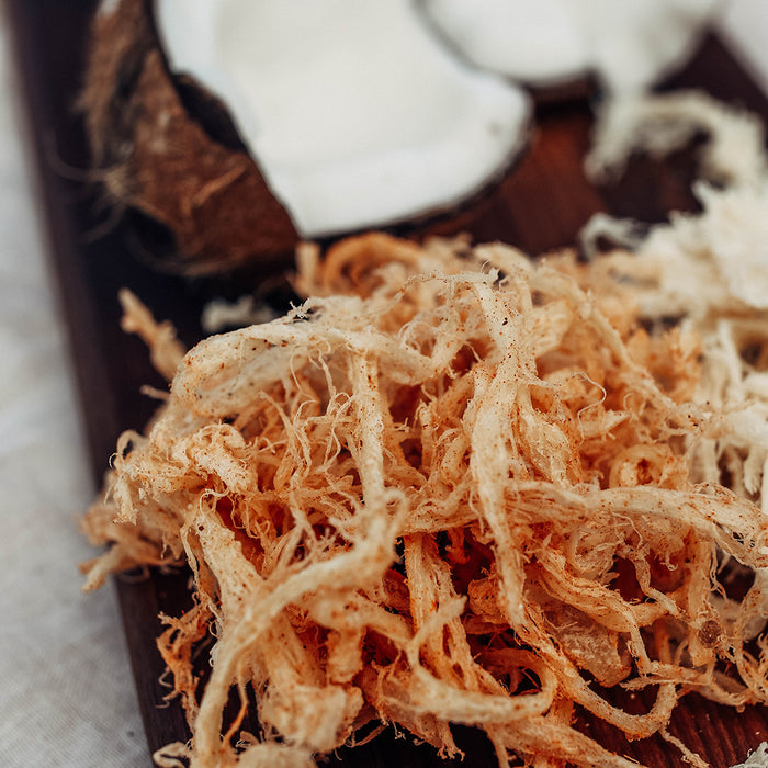 Hot Shredded Dried Squid (Cuttlefish Ika) - 1 Lb.