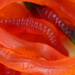 Li Hing Mui Gummi Worms